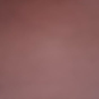 Kağıthane Belediyesi 1500 TL Gıda Yardımı