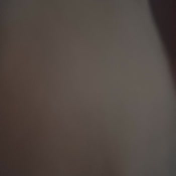 Kağıthane Belediyesi 1500 TL Gıda Yardımı