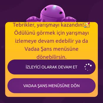 Yapı Kredi Vadaa Şans Puanları Yüklemiyor