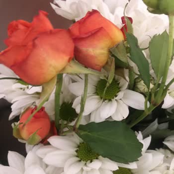 Çiçek Sepeti Sipariş Resmi İle Teslim Edilen Çiçek Farkı