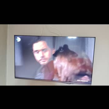 A101 TV Arızası İçi