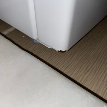 Bosch Çamaşır Makinesi Paslanma Sorunu