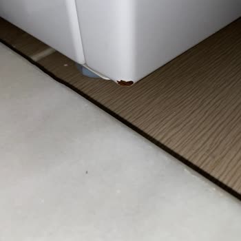 Bosch Çamaşır Makinesi Paslanma Sorunu