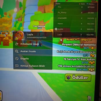 ROBLOX Pet Simulatör 99 Ve Adopt Me De Çalınan Emeklerim