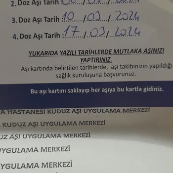 İzmir Konak Belediyesi Kopek Isırması Ve Belediyenin Çözümsüzlüğü