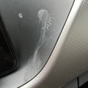 Chakra Araba Kokusu Arabamı Mahvetti!