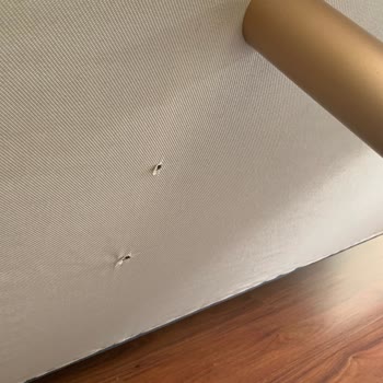 İstikbal Mobilya Satın Alma Sürecinde Yaşanan Sorunlar Ve Müşteri Mağduriyeti