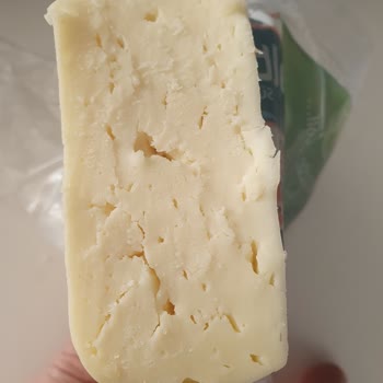 Altınışık Süt Ürünleri Kaşar Denetlenmeli