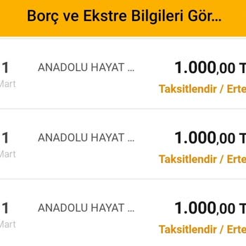 Anadolu Hayat Emeklilik BES İadesi Ve Çatma İşlemleri