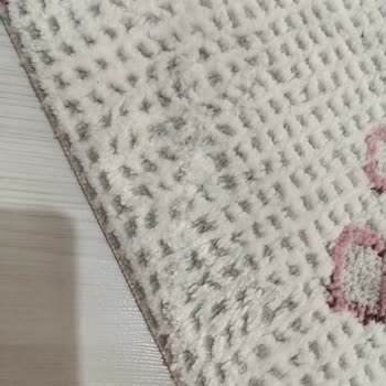 Halıca Garantili Yolluk Takımında Yaşanan Sorunlar Ve Mağduriyet