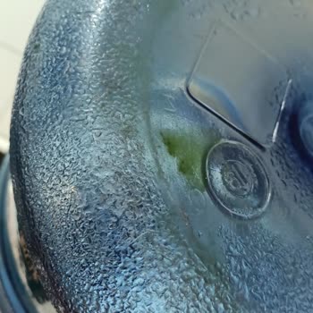 Kuvars Su Koku Ve Yosun, Hastalandım!