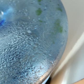 Kuvars Su Koku Ve Yosun, Hastalandım!