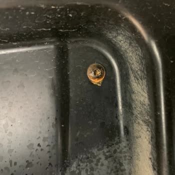 Yeni Skoda Kamiq'te Pas Problemi Ve Bayi İlgisizliği