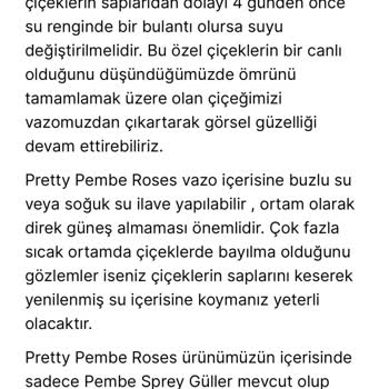 Taze Çiçek (tazecicek.com) Kayseri Şubesinden Beklenenin Uzak Çiçek Teslimatı