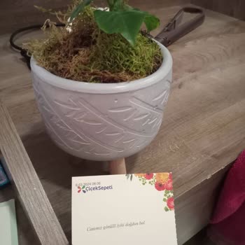 Çiçek Sepeti (Elazığ)