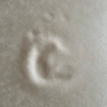 Bellona Montego Koltuk Takımı Delikler Var