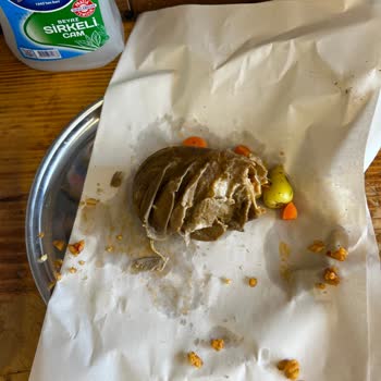 Şırdancı Eşo Hayal Kırıklığına Uğratan Restoran Deneyimi