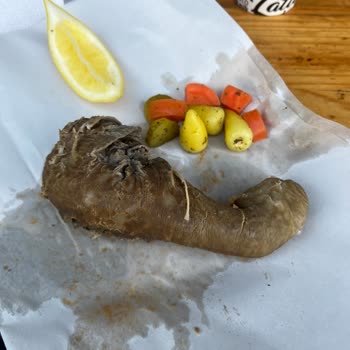 Şırdancı Eşo Hayal Kırıklığına Uğratan Restoran Deneyimi