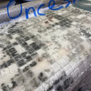 Dadaş Halı Yıkama Yıkama Sonrası Halıda Oluşan Lekeler