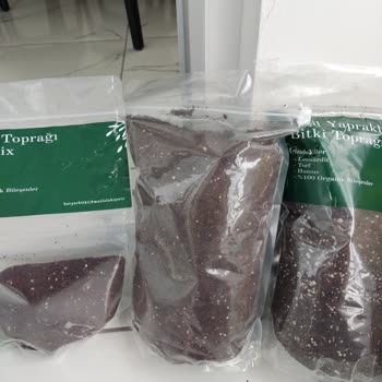 Heryerbitki Sitesi Pişmanlık İçerir!