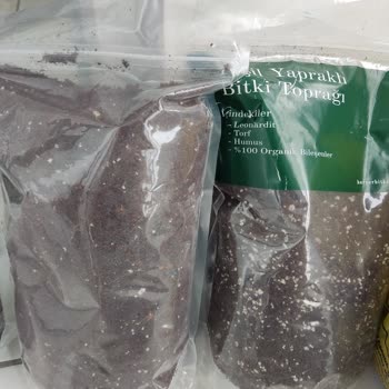 Heryerbitki Sitesi Pişmanlık İçerir!