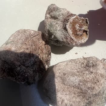 Osmanlıoğlu Kuruyemiş Eminönü Osmanlı Gida