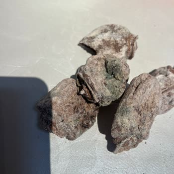 Osmanlıoğlu Kuruyemiş Eminönü Osmanlı Gida