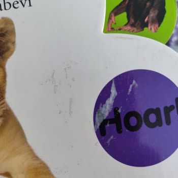 D&R Hasarlı Kitap Gönderimi