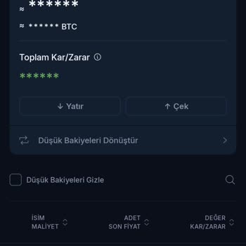 BTCTURK Varlıklarımı Göremiyorum