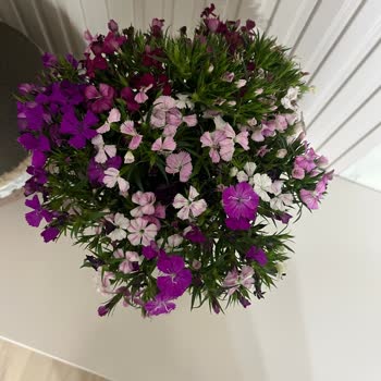 Çiçek Sepeti Görselle Alakasız Çiçek Gönderimi