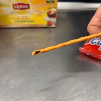 Ülker Tuzlu Krakerden Böcek Çıktı