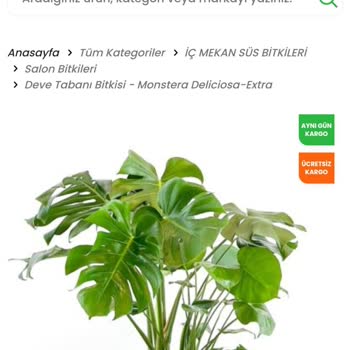 FidanBurada Ürün Görseldeki Gibi Değil Ve İlgilenilmiyor.