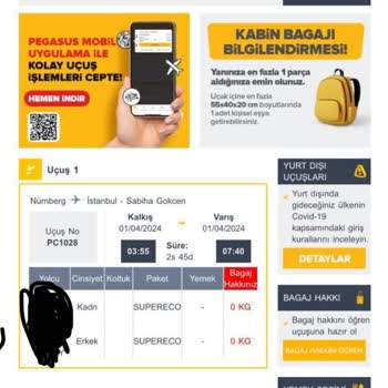 Pegasus'un İptal Ettiği Uçuşundan Sonra Bilet Değişikliğini Yapamaması