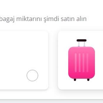 Pegasus Hizmet Anlayışı Ve Bagaj Tarifeleri