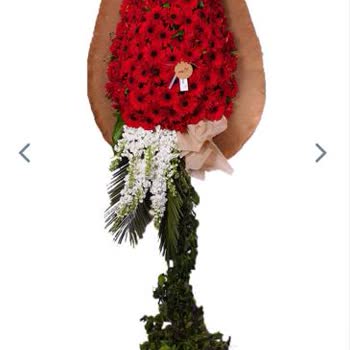 Taze Çiçek (tazecicek.com) Sipariş Edilen Ürünle Alakasız Ürün Teslim Ediyor