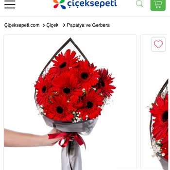 Çiçek Sepeti Şikayet