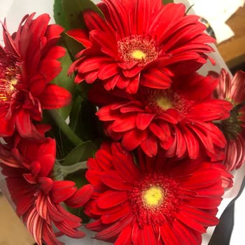 Çiçek Sepeti Şikayet