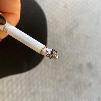 JTI Sigara Da Böcek Çıktı