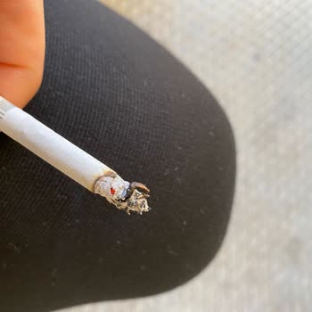 JTI Sigara Da Böcek Çıktı