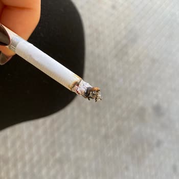 JTI Sigara Da Böcek Çıktı