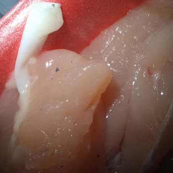 BİM Tazem Piliç Yabancı Madde Ve Kemik Parçaları