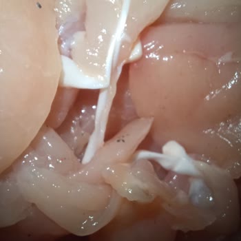 BİM Tazem Piliç Yabancı Madde Ve Kemik Parçaları