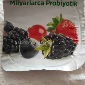 Activia Probiyotikli Yoğurt Ve Getir Firmaları