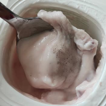 Activia Probiyotikli Yoğurt Ve Getir Firmaları