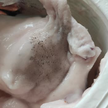 Activia Probiyotikli Yoğurt Ve Getir Firmaları