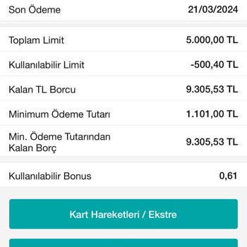 Gelecek Varlık Yönetim Garanti Bankası Borç Silme Sorunu