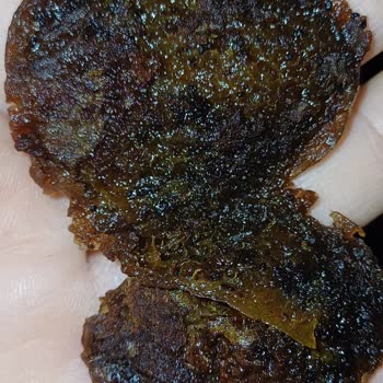 BİM'de Satılan Perfect Delights Soft Gün Kurusunun Kurtlu Çıkması