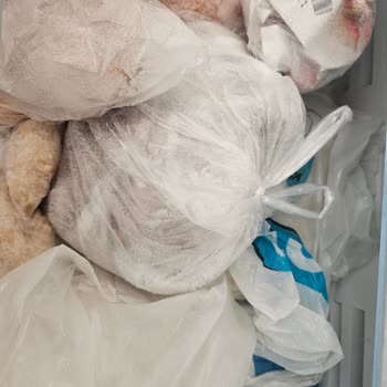 Bosch Buzdolabı Derin Dondurucu Karlanma Sorunu