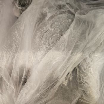 Bosch Buzdolabı Derin Dondurucu Karlanma Sorunu