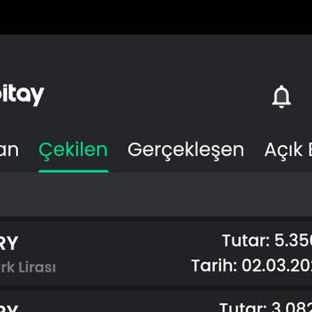 Bitay'da Para Çekme Ve Müşteri Hizmetleri Sorunu